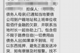 芦淞要账公司更多成功案例详情